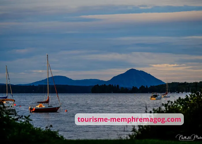 L\'Arbre De La Montagne Orford - Ski Hiking Bicking Golf Beaches